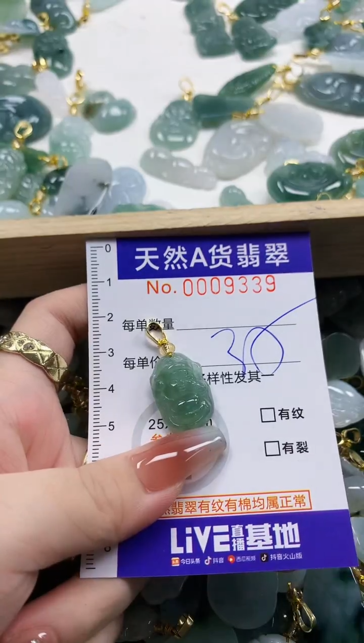 颈饰未镶嵌翡翠天然A货翡翠