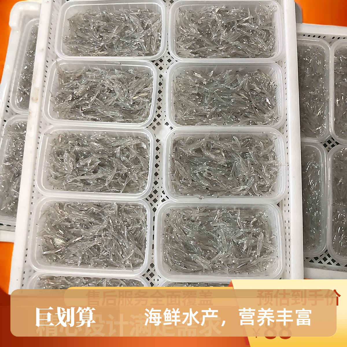福建小银鱼生鲜冷冻海鲜无刺宝宝辅食孕妇老人适用