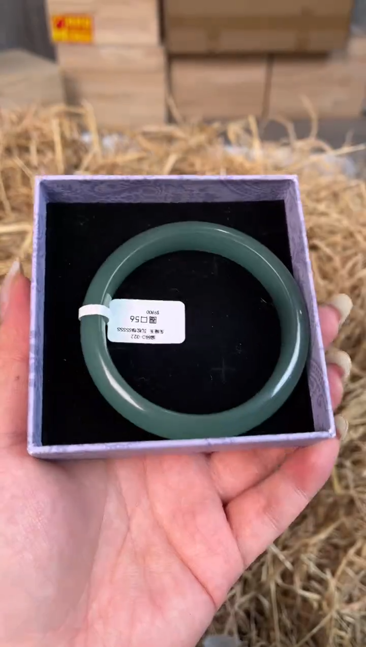 未镶嵌手镯石英质玉D-022