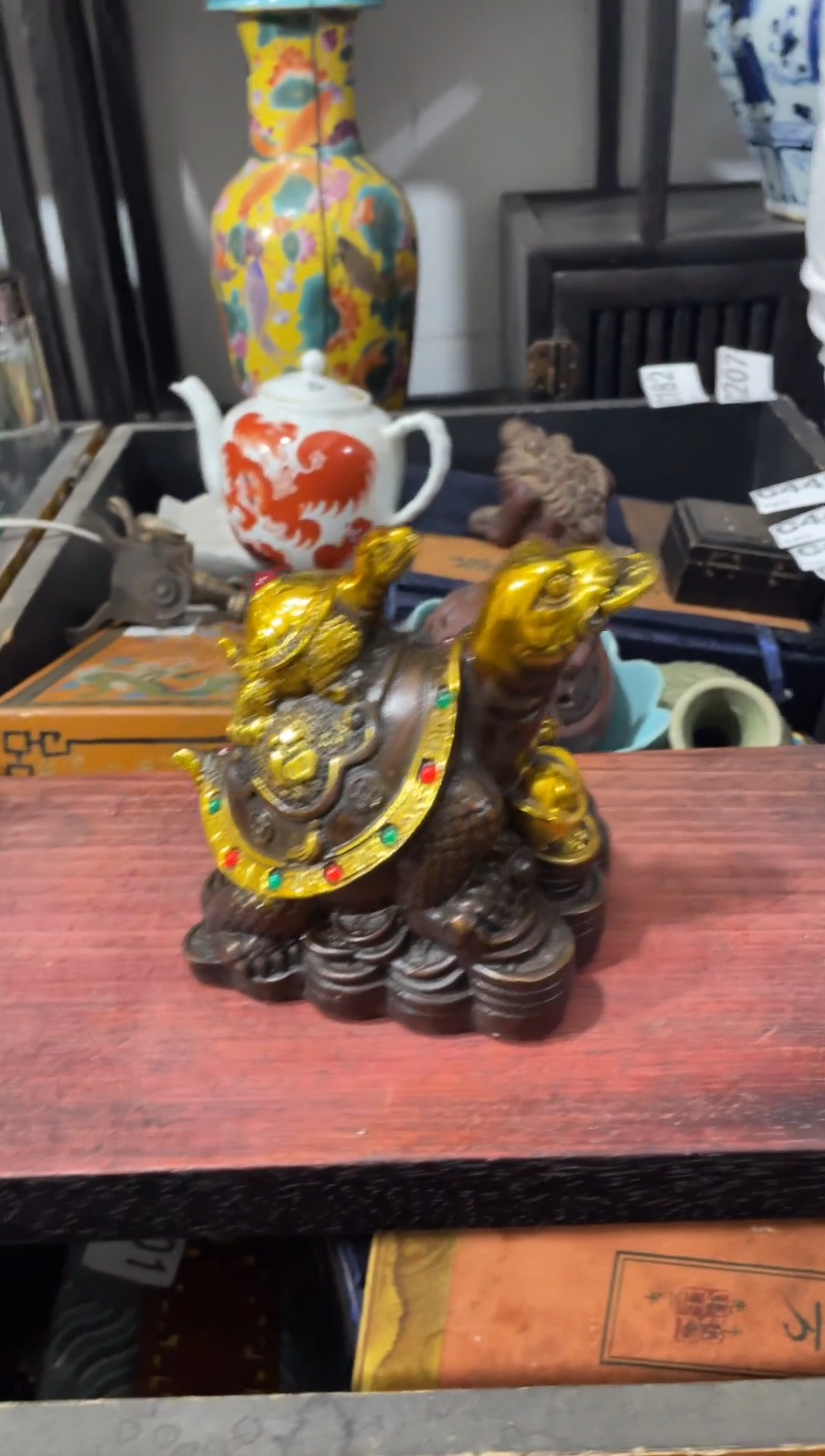 瓷片主播推荐精选好物