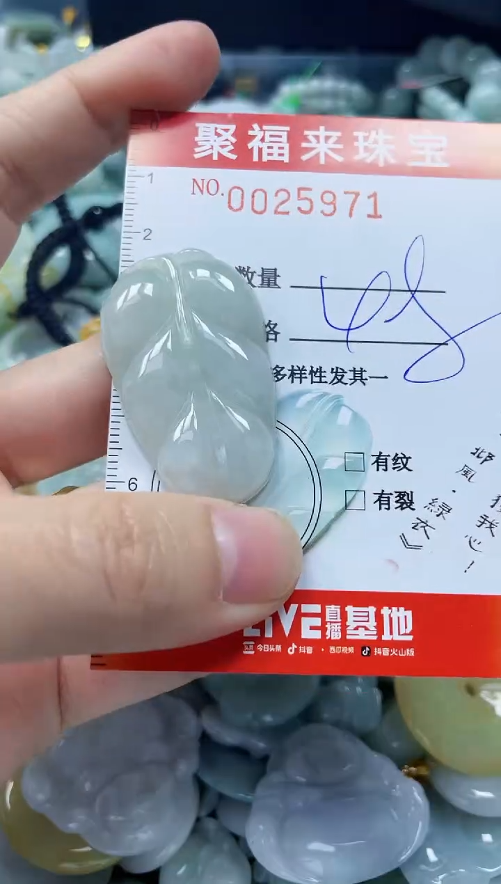 【闪购商品】翡翠颈饰未镶嵌闪购0025971