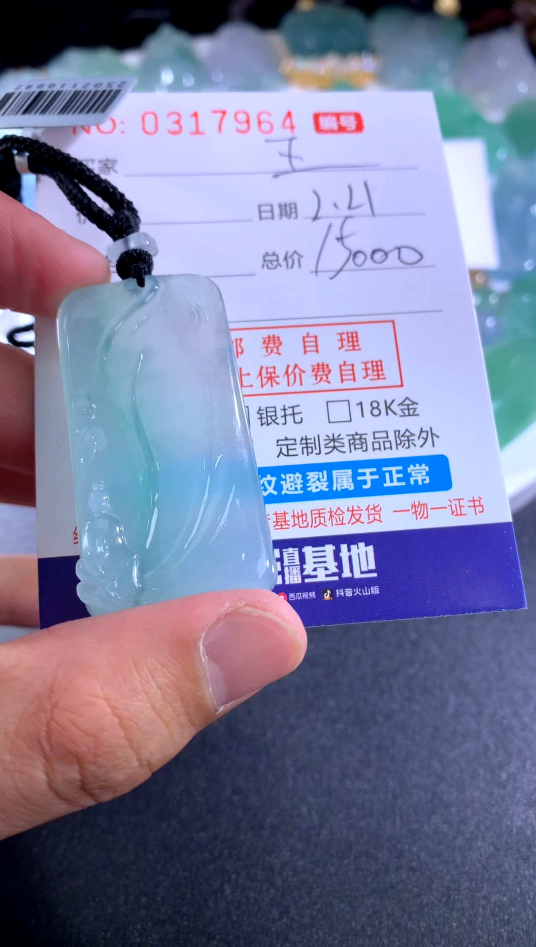 【闪购商品】翡翠颈饰未镶嵌王