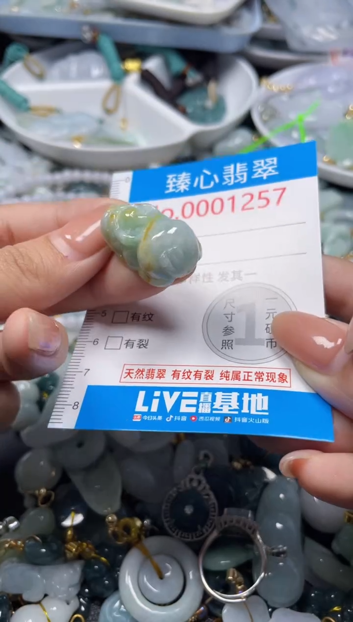 颈饰未镶嵌翡翠1257