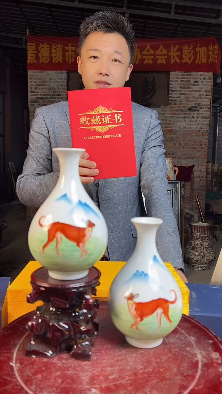 瓶陶景德镇陶瓷瓶