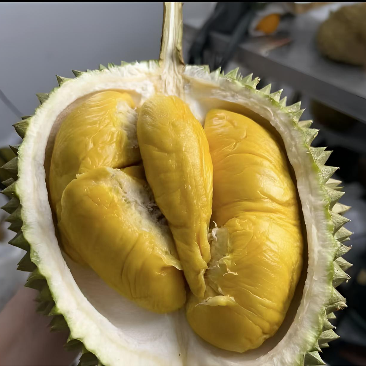 【新鲜猫山王78/斤】D197马来西亚树熟榴莲(开果不退）3-7斤核大（保4房）猫山王马来西亚