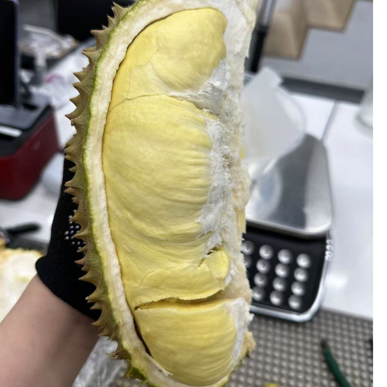 【瑕疵福利果肉】现剥暹味空运树熟泰国金枕榴莲微夹福利果肉/两斤【售后无介意勿拍/核小】新鲜榴莲 金枕泰国