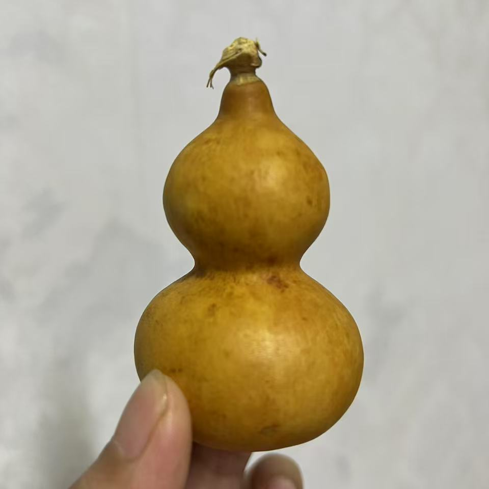 直播间专拍【时尚葫芦摆件】请勿私 拍