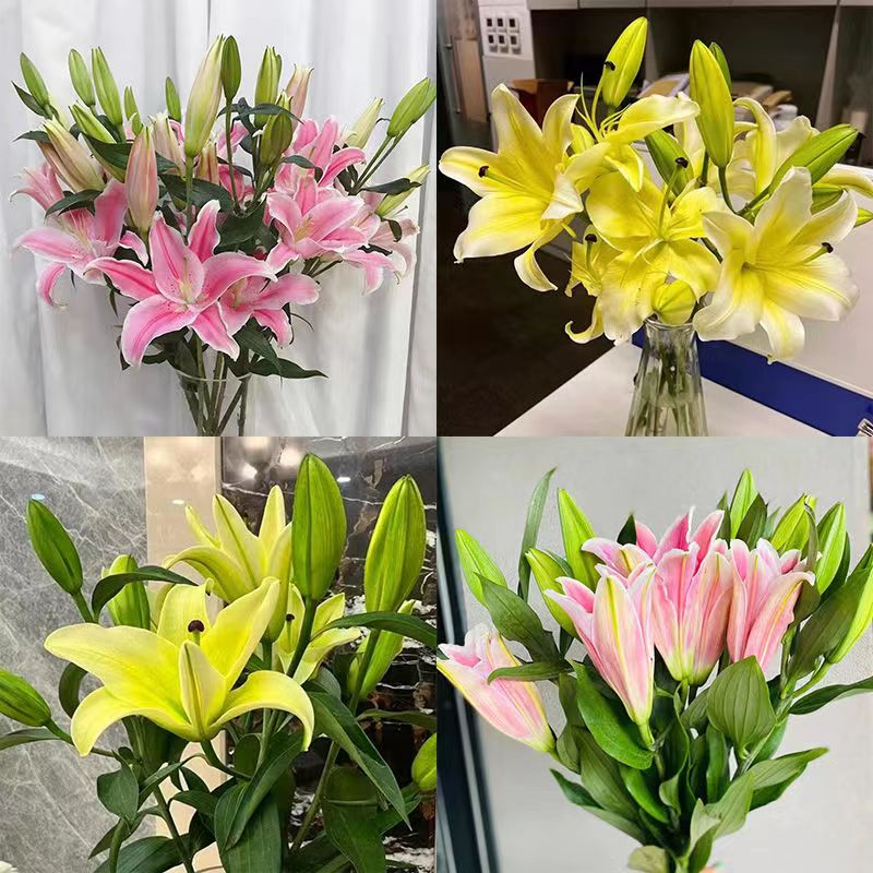 花束鲜花 香水百合花 云南昆明源头基地室水养新鲜鲜花束叶子漂亮
