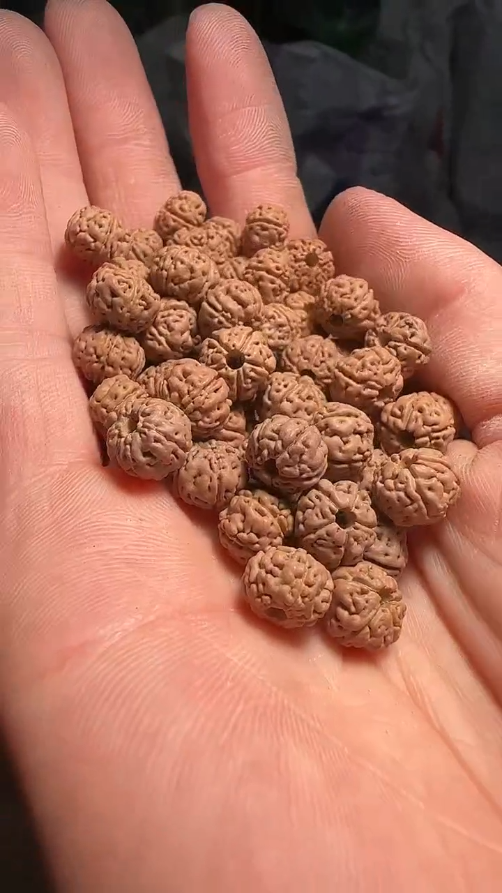 金刚菩提手串全品无黄！老树王9-10mm一份五十颗