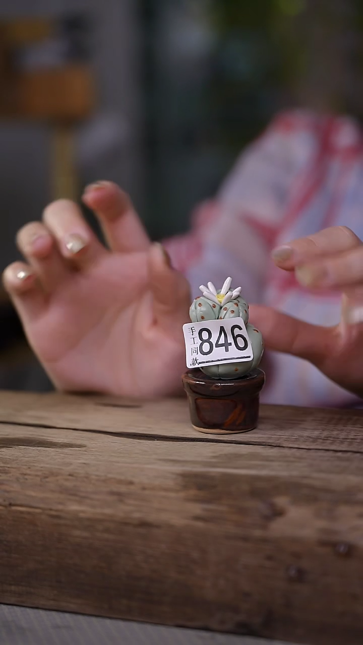 【闪购商品】瓷片福利！可爱仙人掌摆件/茶宠