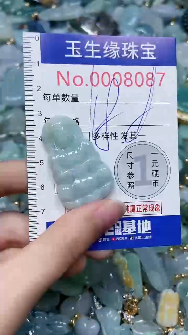 【闪购商品】翡翠颈饰未镶嵌闪购00008087