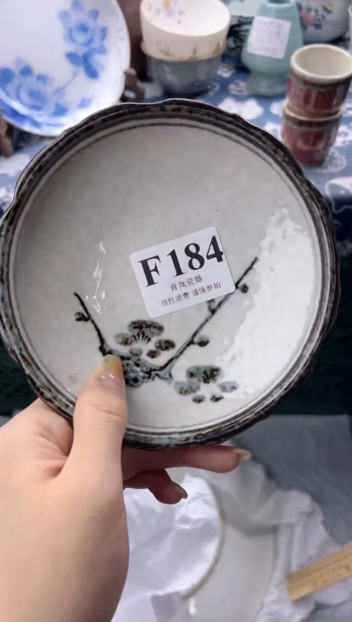 瓷片       F184