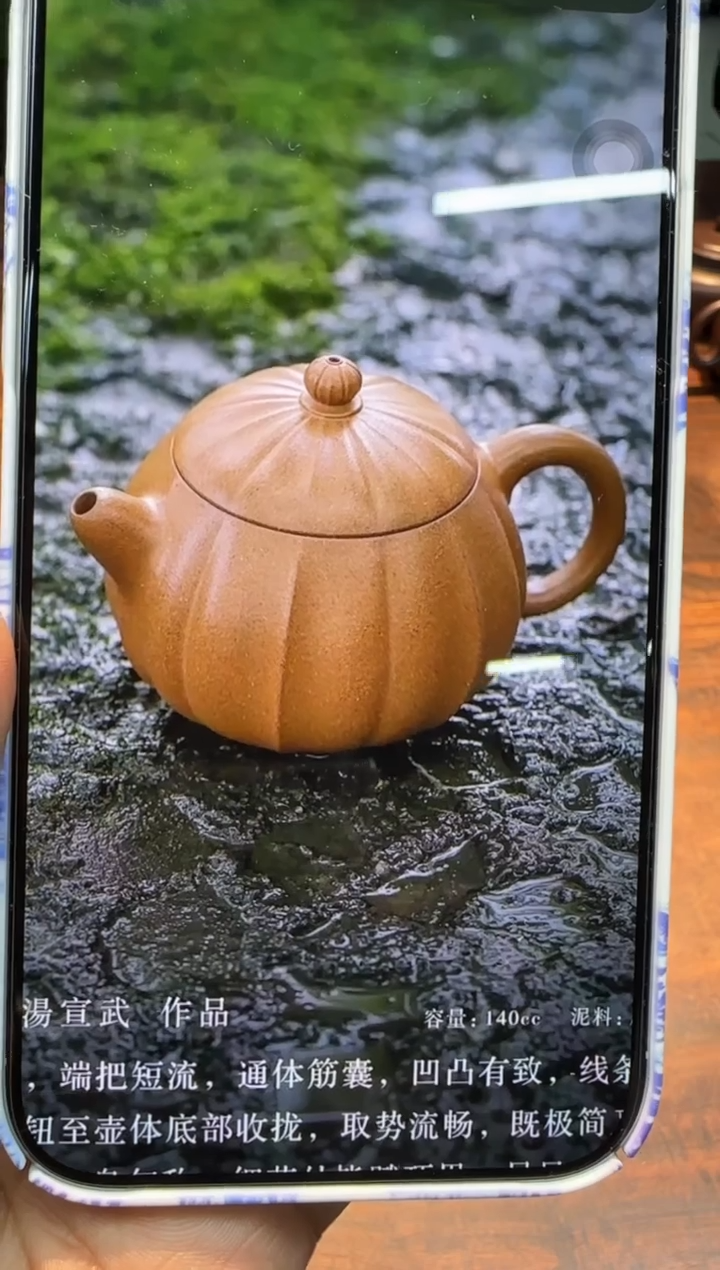 【闪购商品】汤宣武 金砂段 菱乳