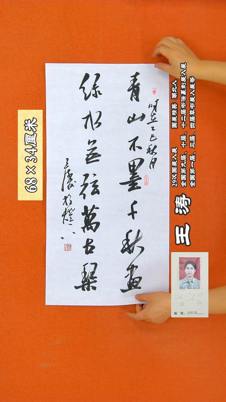 书法11a王涛书法作品