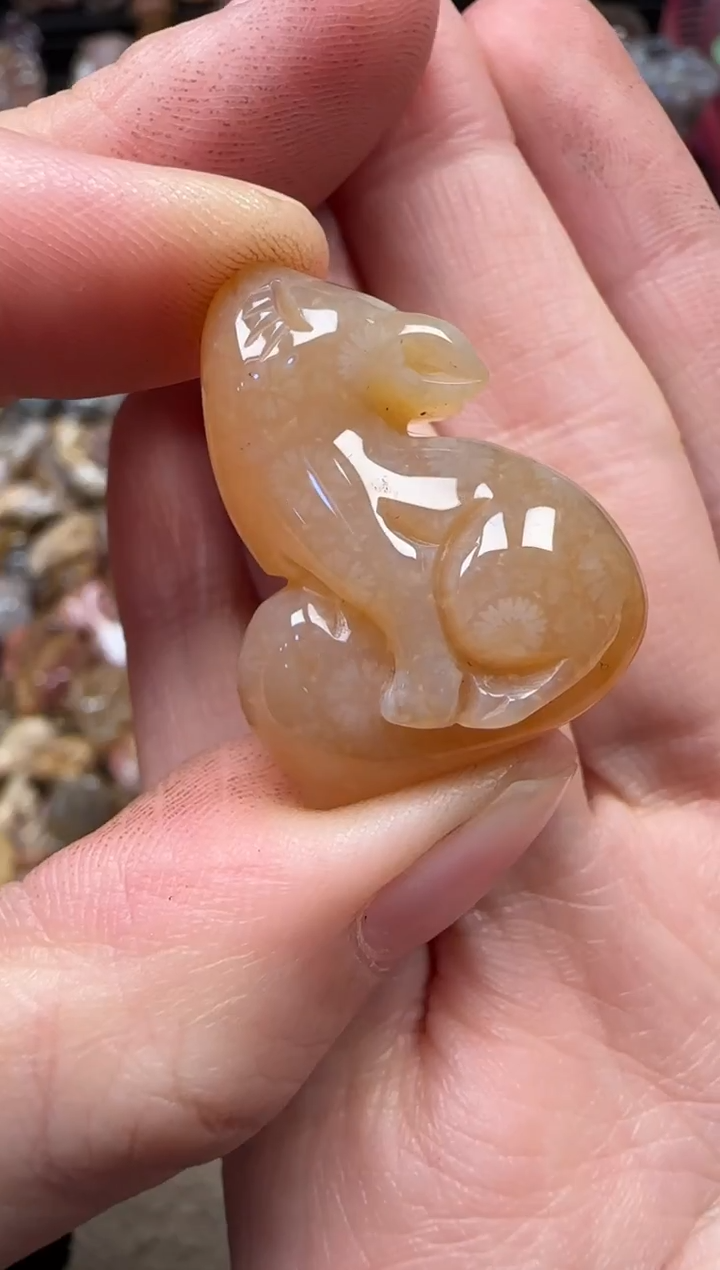 颈饰未镶嵌硅化珊瑚（珊瑚玉）265