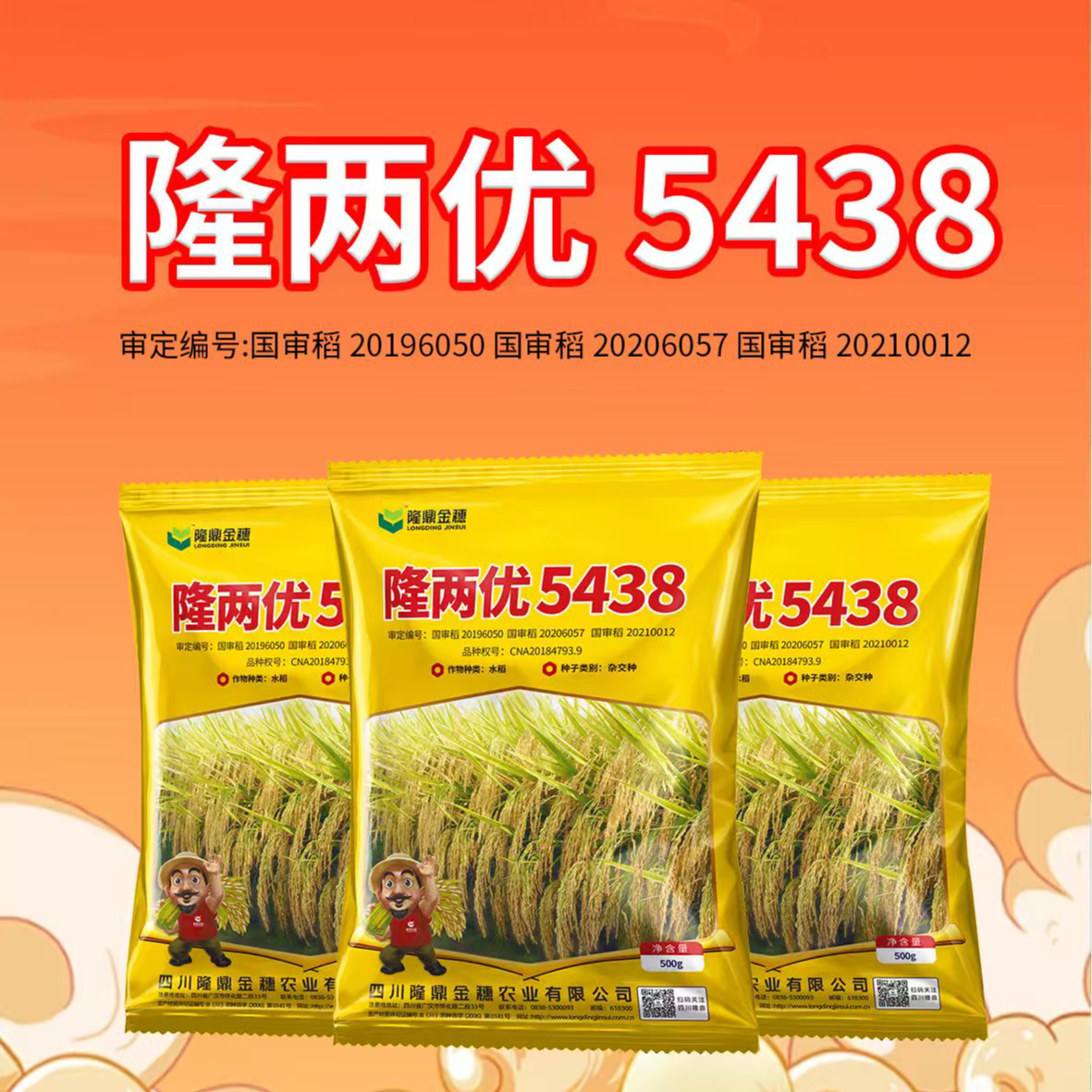 【国审正品】隆两优5438水稻种子厂家直销耐热抗倒高产稳产广适性好