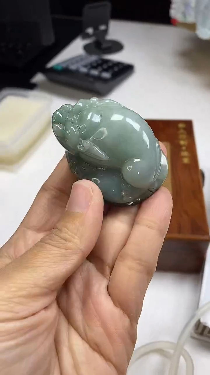 颈饰未镶嵌翡翠翡翠A货2025/12/26