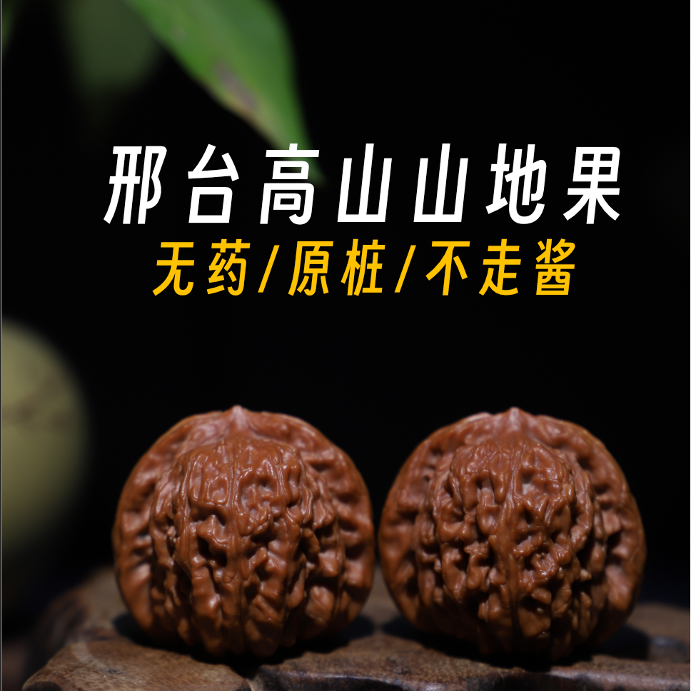 《四座楼》2025老树红皮太行山高山无药山地果《糊涂楼》