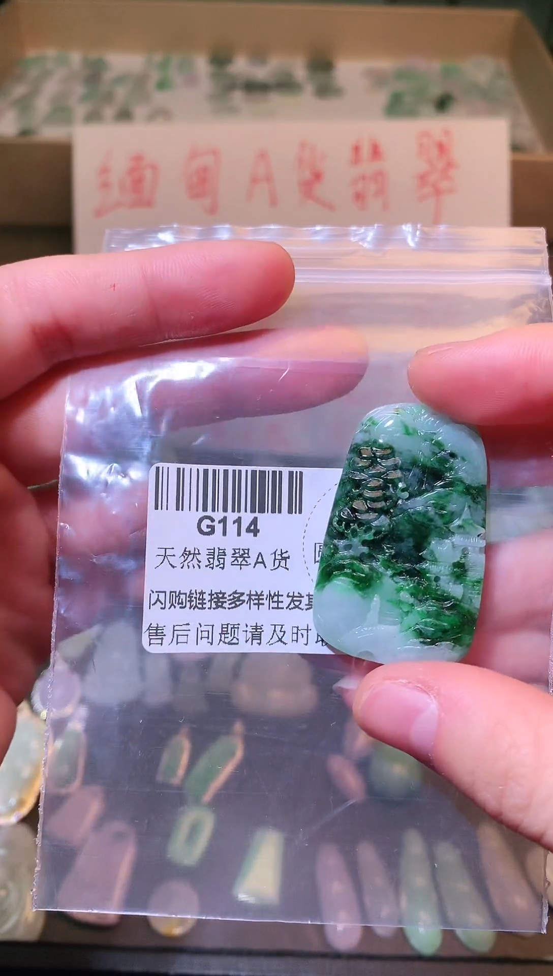 【闪购商品】翡翠颈饰未镶嵌精美翡翠G114