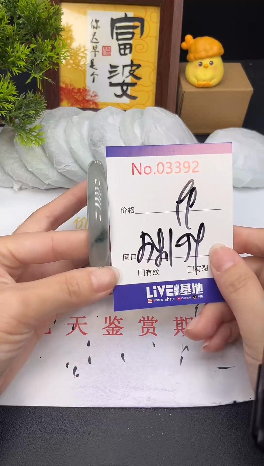 未镶嵌手镯翡翠3392