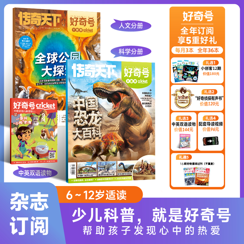 《好奇号》25年11月-26年10月跨年刊/26年整年刊 AYB