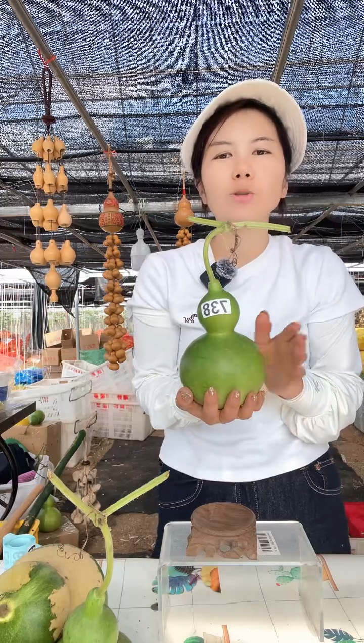 738天然葫芦摆件 一物一拍龙头不保售后