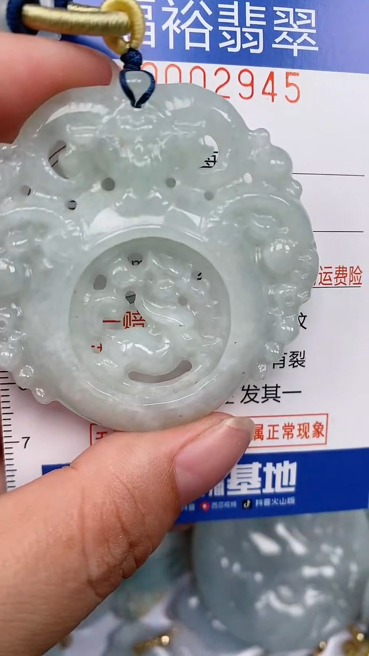 翡翠未镶嵌颈饰...0002945