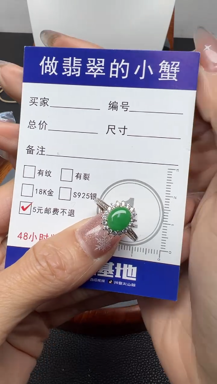 颈饰银S925镶嵌翡翠59号链接纯天然A货缅甸翡翠蛋面（戒指）
