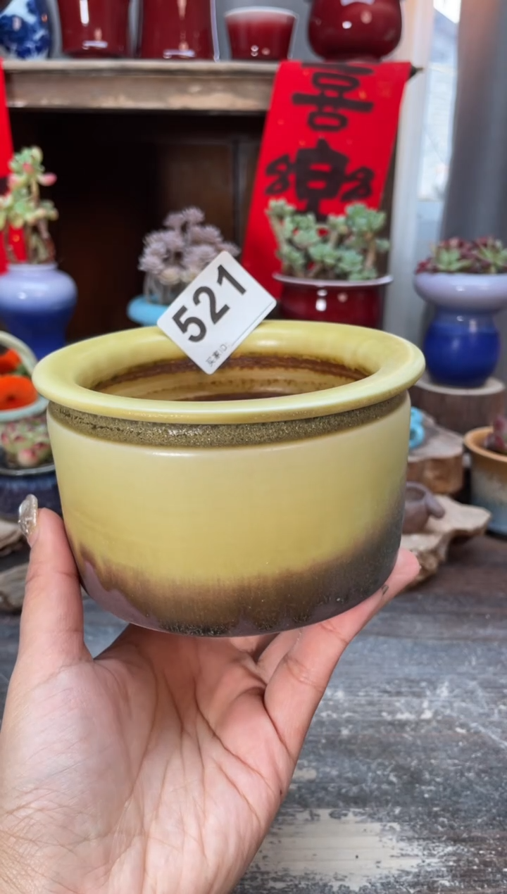 【闪购商品】摆件521知木小芳花盆