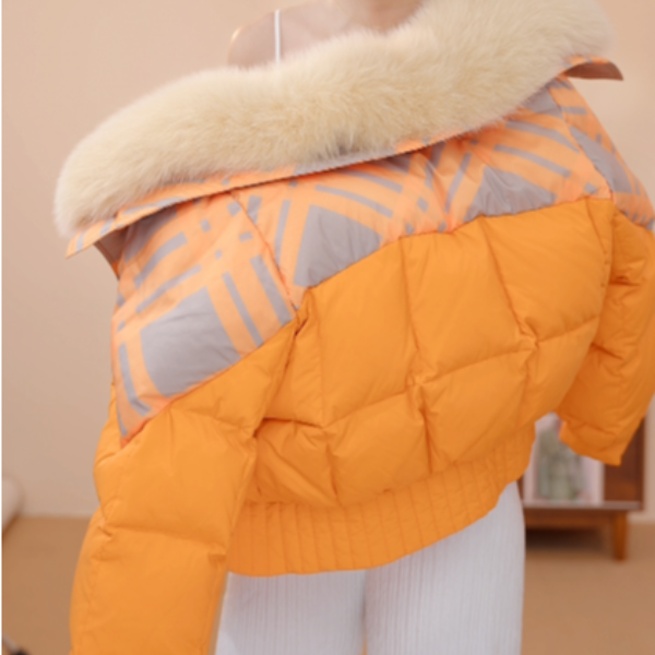 CC-爆款新品时尚高端冬季新款大毛领羽绒服