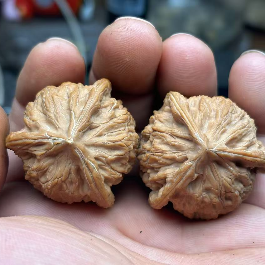 天然原色文玩核桃四座楼狮子头麒麟纹官帽手盘把玩件