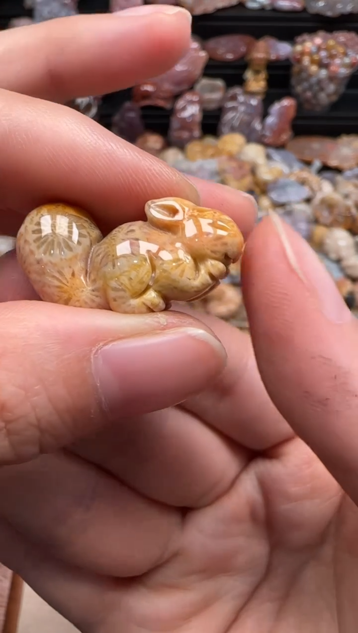 【闪购商品】硅化珊瑚（珊瑚玉）颈饰未镶嵌698