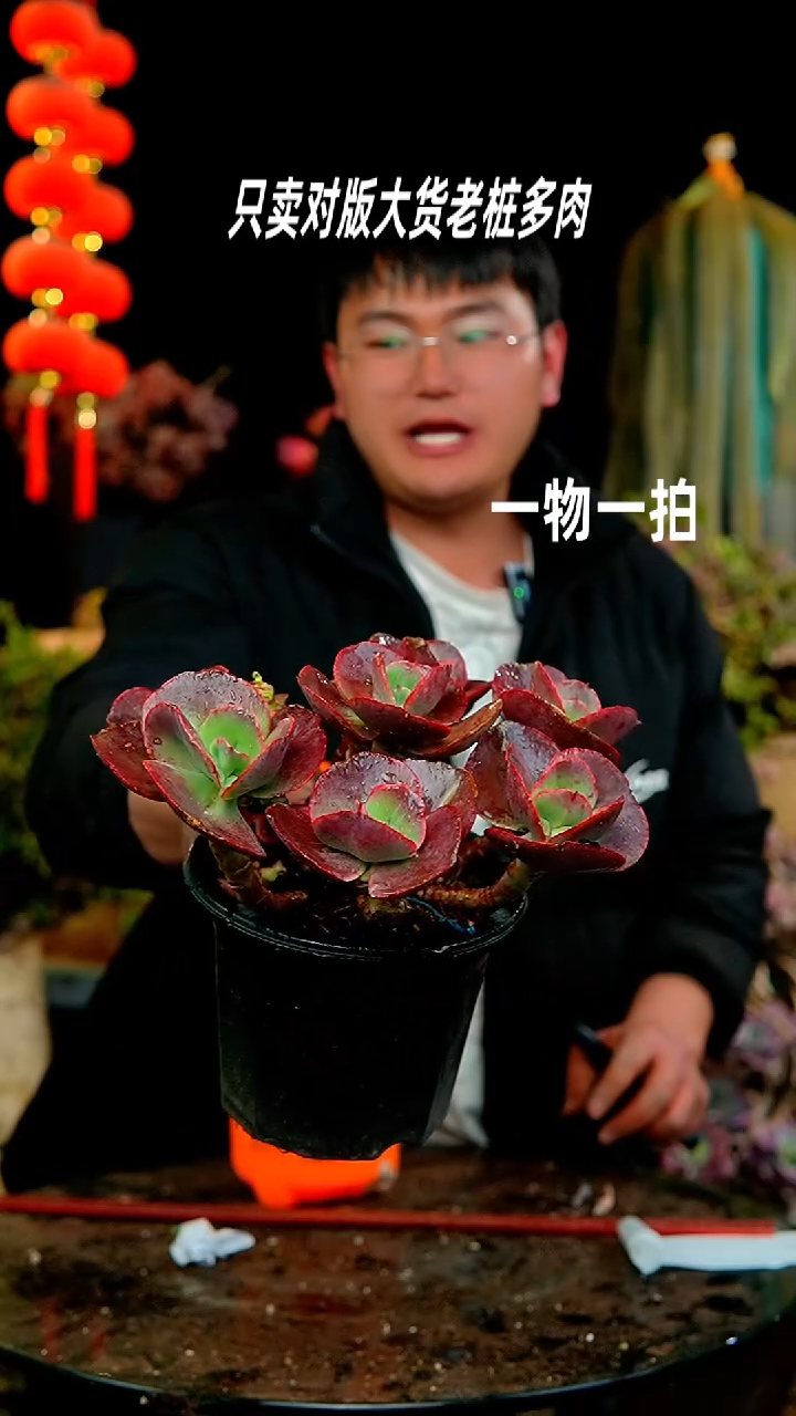 【闪购商品】222号秀妍