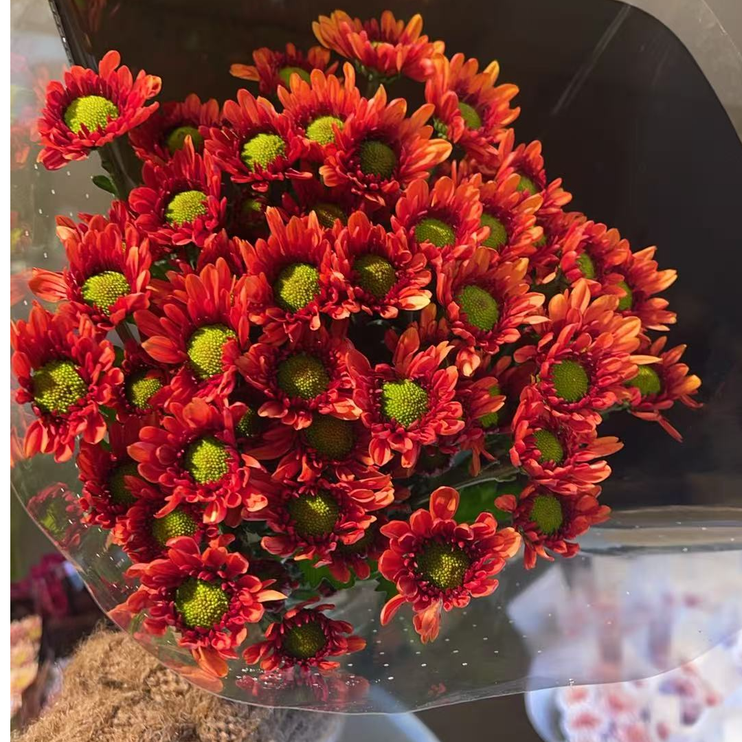 吉芯 小雏菊全店任意N单一个运费