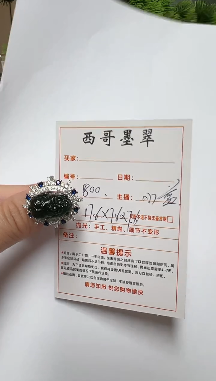 【闪购商品】定制翡翠未镶嵌貔貅