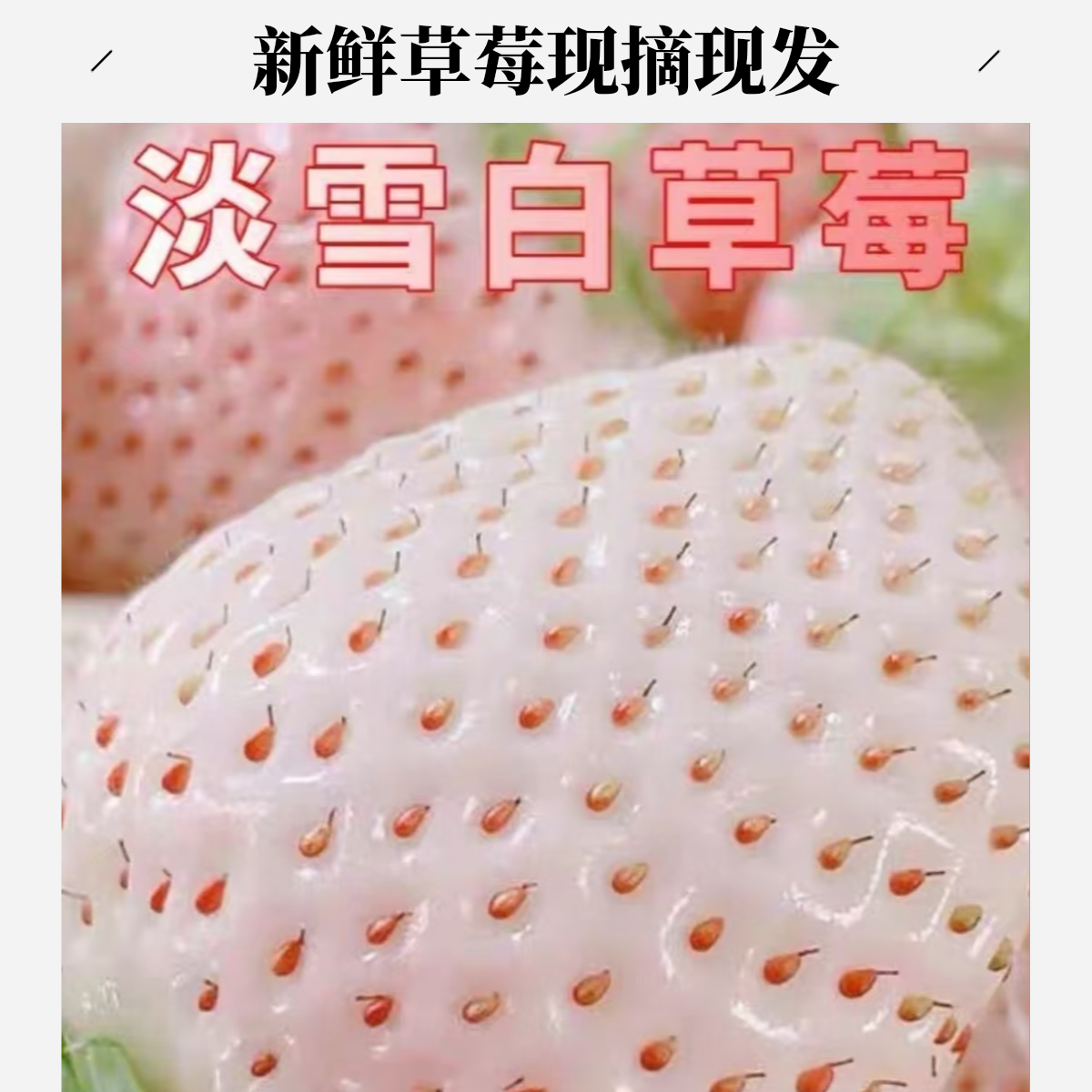 粉玉白草莓 毛重两斤 京东包邮