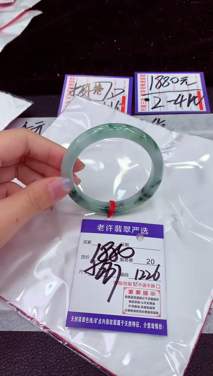 未镶嵌手镯翡翠1