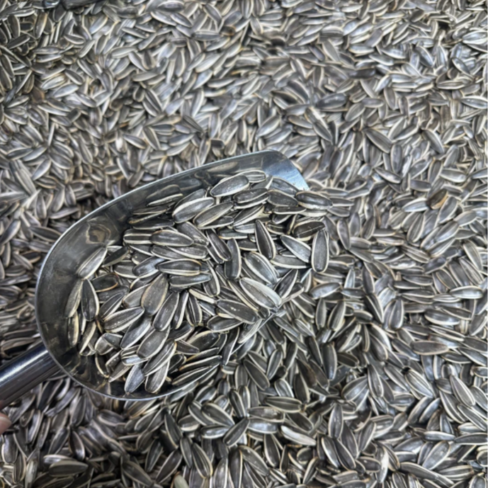 现炒原味内蒙古头茬新瓜子农家小瓜子500g*2