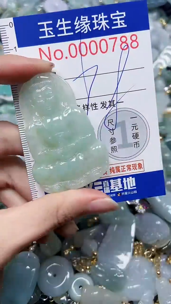 【闪购商品】翡翠颈饰未镶嵌闪购0000788