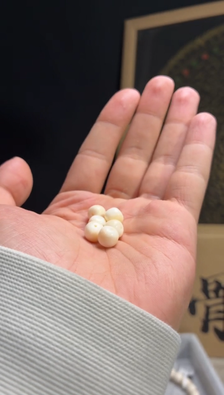 其他猛犸象牙闪购306 虬系列皮肉脑T0 单籽