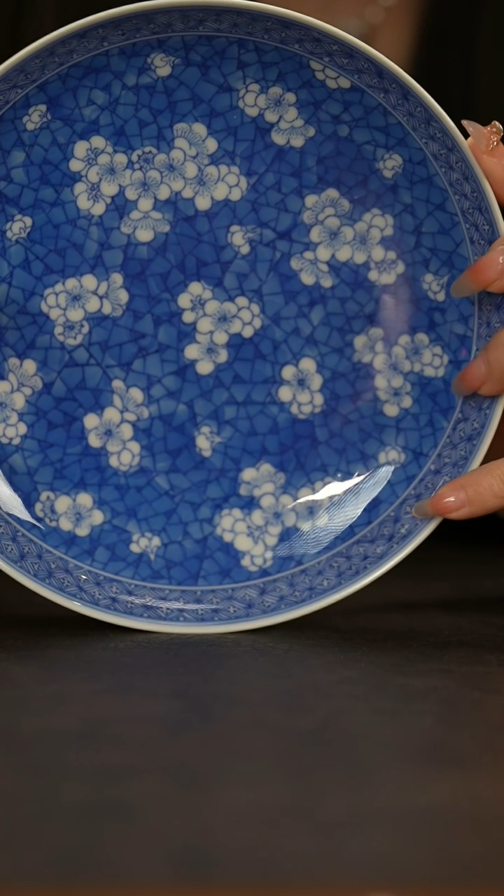 【闪购商品】瓷片春生                