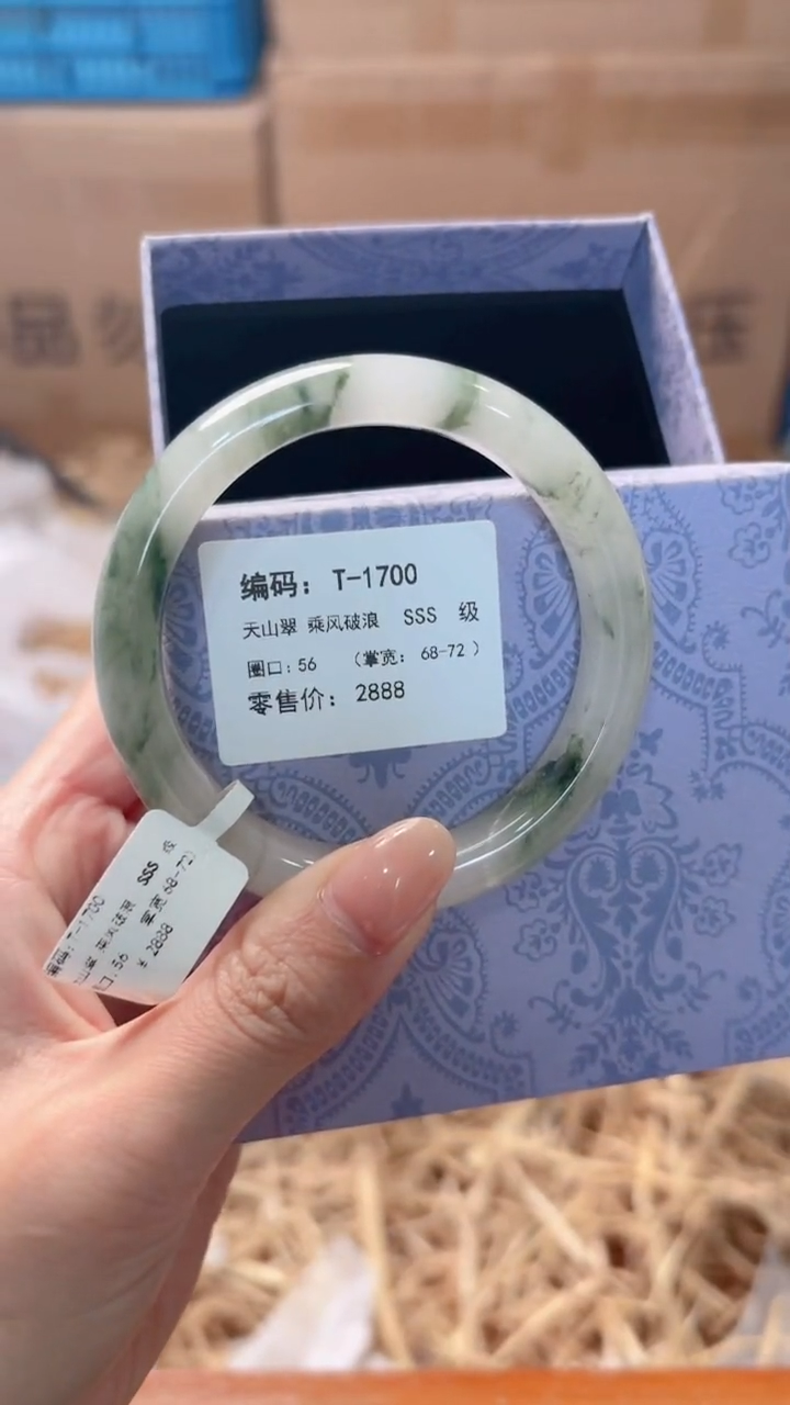 未镶嵌手镯石英质玉T-1700