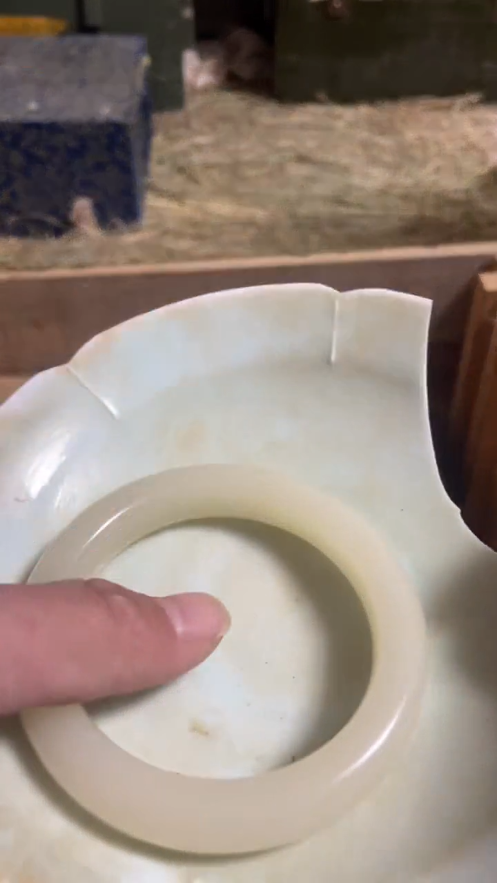 瓷片主播推荐好物