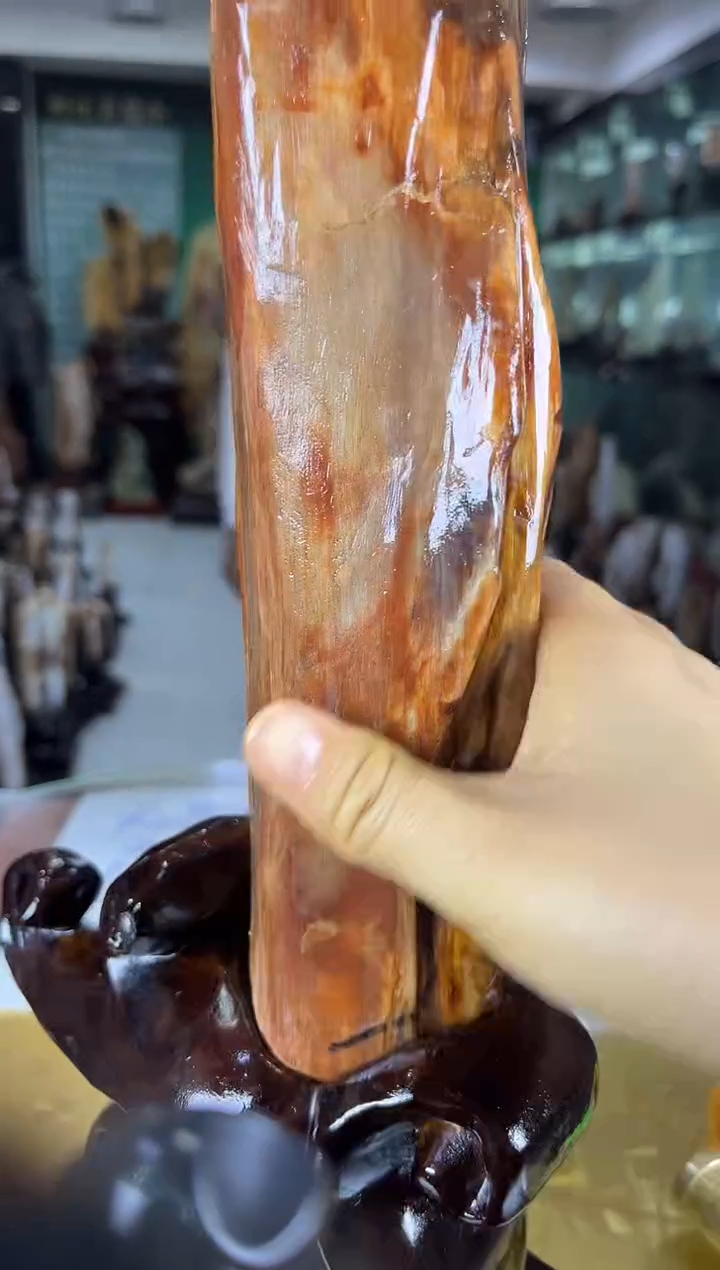 未镶嵌珠宝奇石硅化玉缅甸天然树化玉精品居家摆件