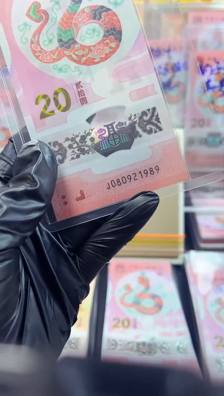 【闪购商品】蛇钞 080921989  朦胧年份