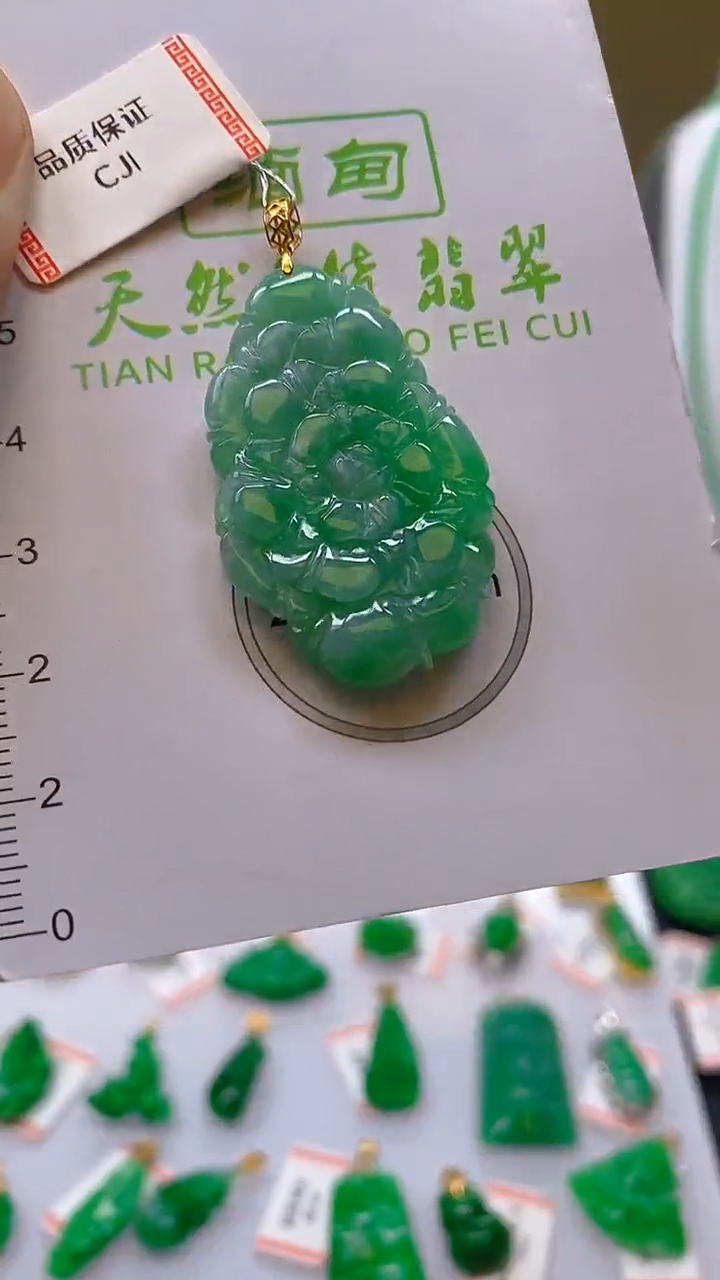 【闪购商品】翡翠颈饰18K金镶嵌新号开播，全场乱卖