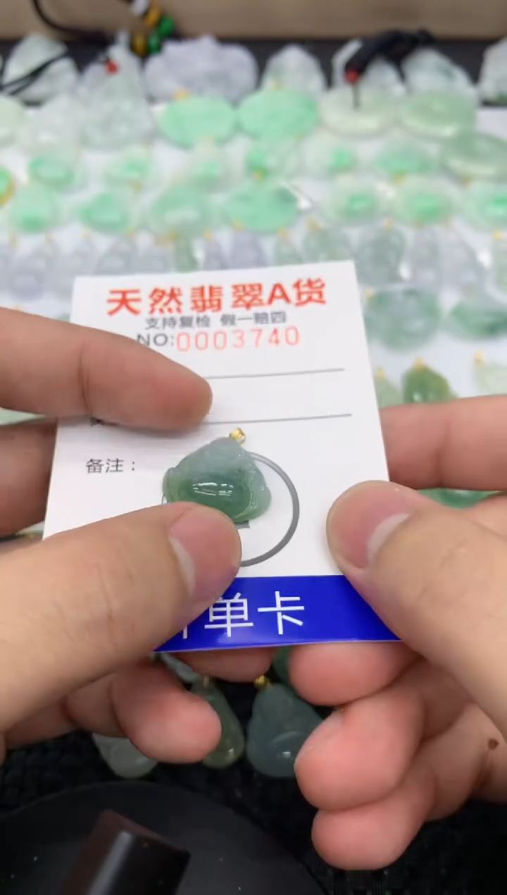 【闪购商品】翡翠颈饰18K金镶嵌11111111111