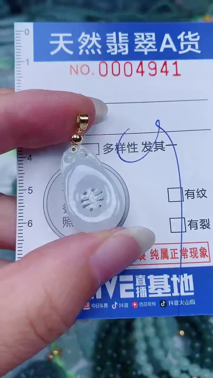 翡翠未镶嵌颈饰00004941