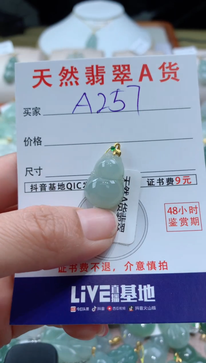 【闪购商品】翡翠颈饰未镶嵌天然A货翡翠挂件