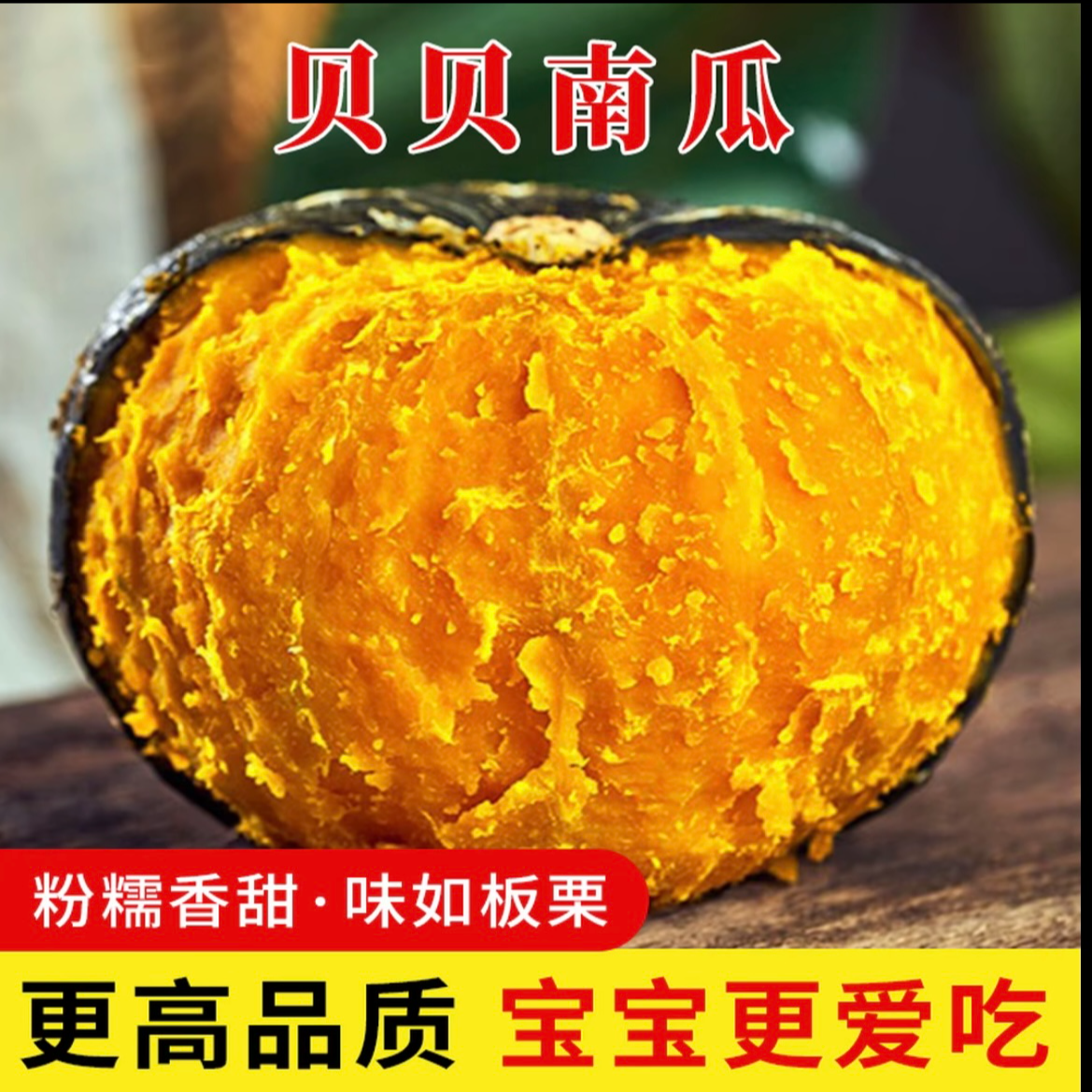 新鲜采摘沙地贝贝南瓜粉糯香甜有板栗味适合宝宝辅食